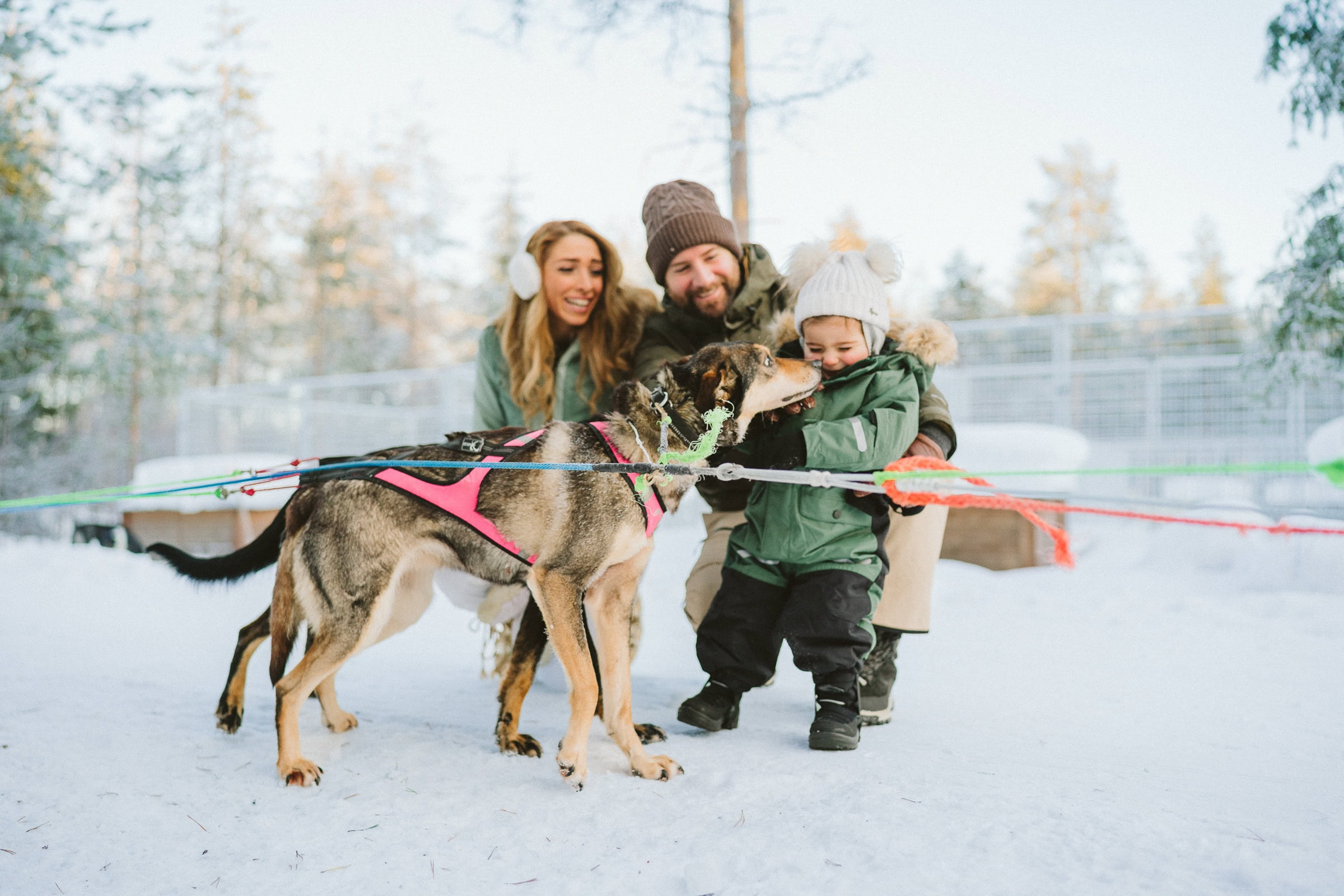husky ride Rovaniemi photoshoot with a family