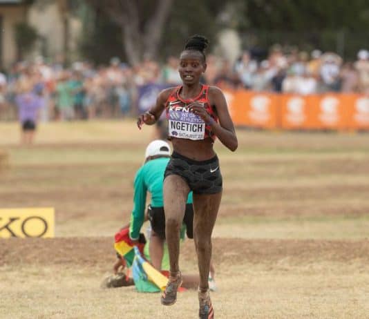 Agnes Ngetich Triumphs in 10km Road Race in Lille, France