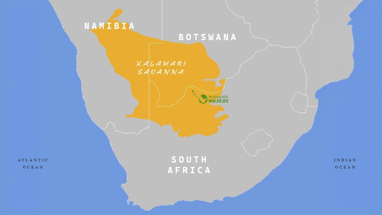 Kalahari Safari Map Kalahari Safari Map - Where this conservation safari is situated
