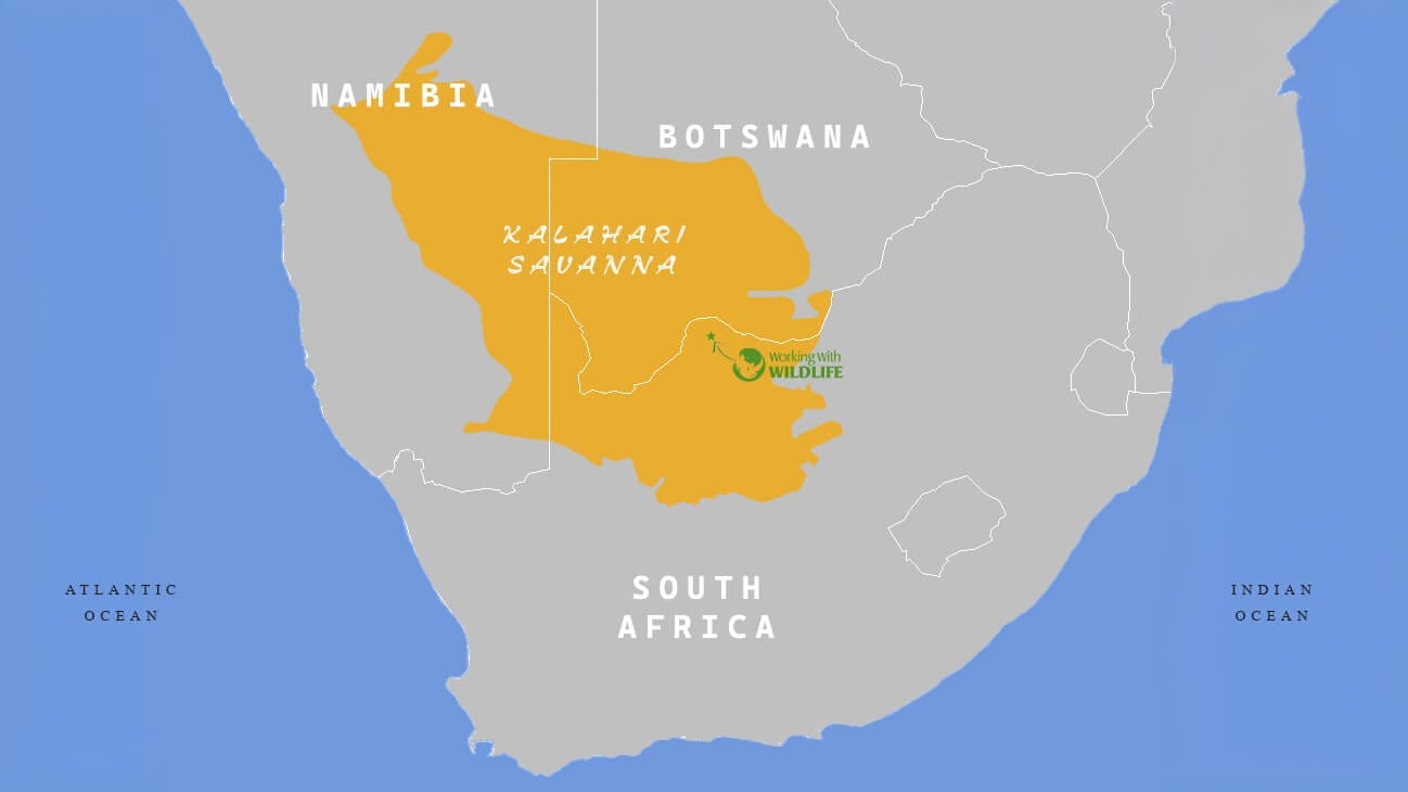 Kalahari Safari Map Kalahari Safari Map - Where this conservation safari is situated
