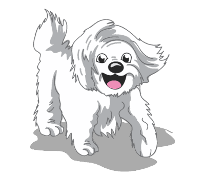 Ultimate off-leash puppy training minneapolis – go anywhere dog®