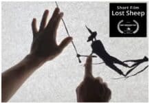 Oaia Pierdută. Scurtmetraj animat despre acceptare și iubire necondiționată LOST SHEEP SCURTMETRAJ ANIMATIE