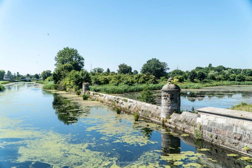 cztery dziewice opływ motławy