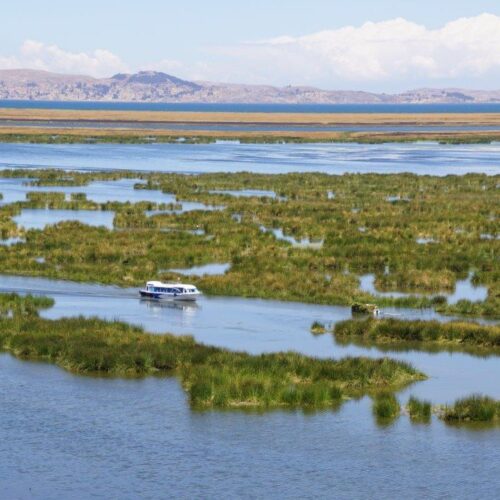 Biodiversität & Klimaschutz durch lebendige Seen