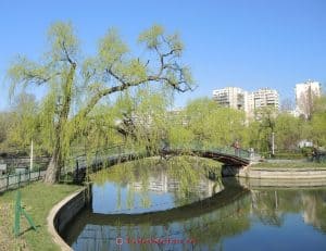 parcul-morarilor parcul-morarilor