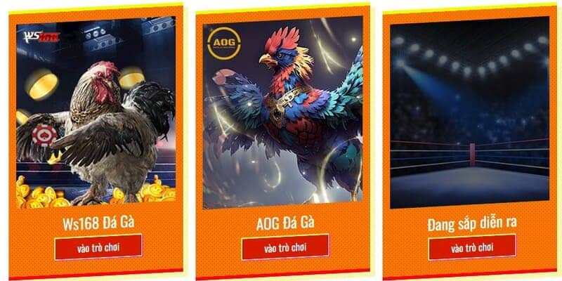 Video chất đấu diễn ra chất lượng với 2 sảnh cung cấp uy tín