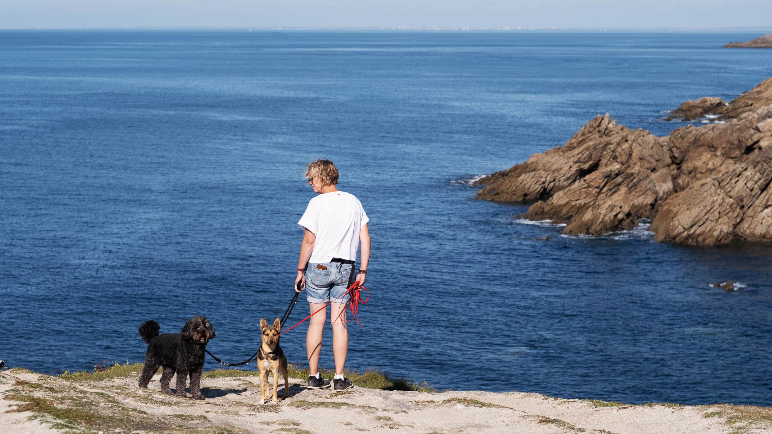 Elli Toffi Annette Bara