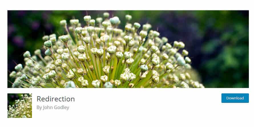 Redirection plugin in WordPress
