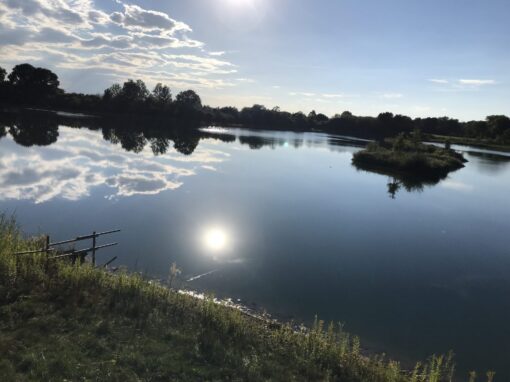 Welttag der Feuchtgebiete: Wer wird die erste „Wetland City“ Deutschlands?