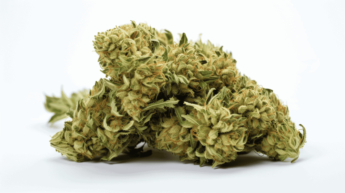 Platinum Oreoz Strain deep end butter strain close-up on a white background