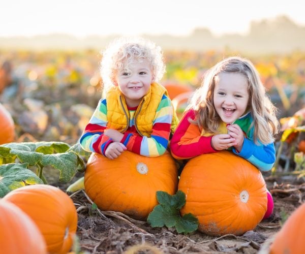 girls in pumpkins patch girls in pumpkins patch