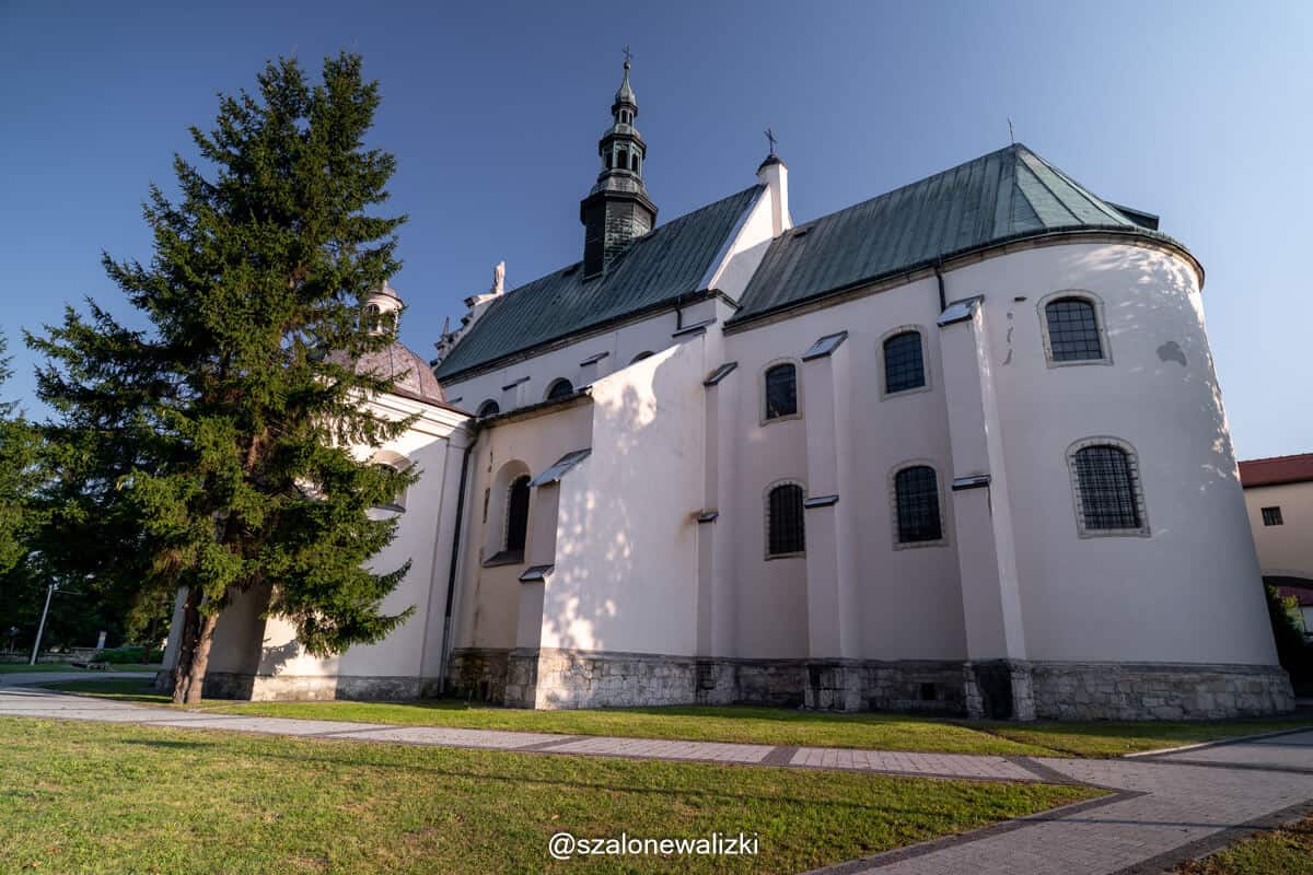 pińczów