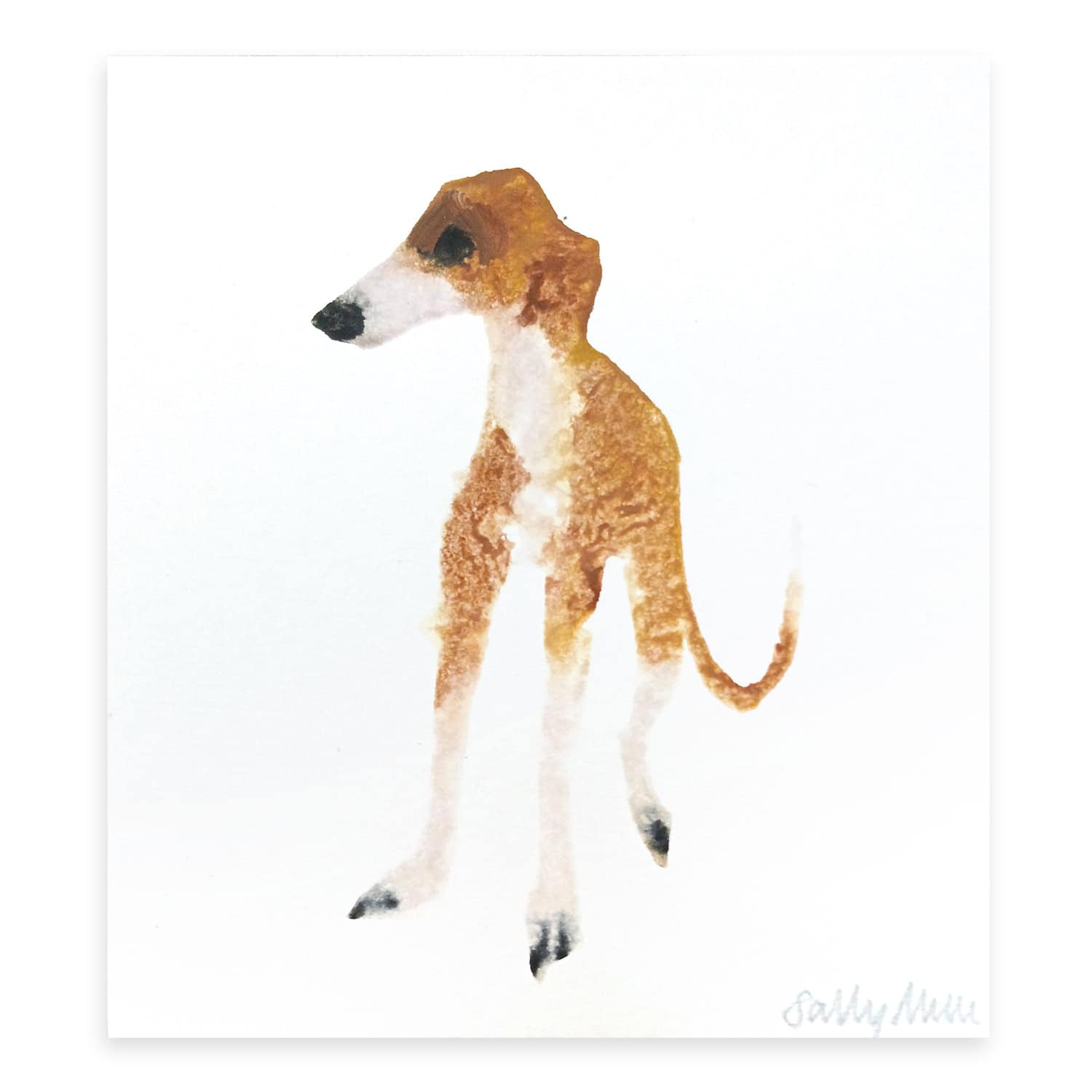 4709C Brown and White Dog, No Collar – Sally Muir
