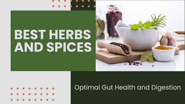 TOP 9 BEST HERBS AND SPICES FOR OPTIMAL GUT HEALTH AND DIGESTION 4 natural remedies for leaky gut and chronic bloat