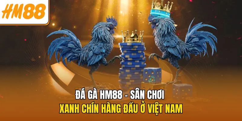 Đá Gà HM88 - Sân Chơi Xanh Chín Hàng Đầu Ở Việt Nam