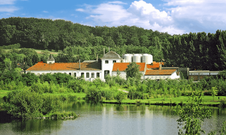 42648 Alfa brouwerij