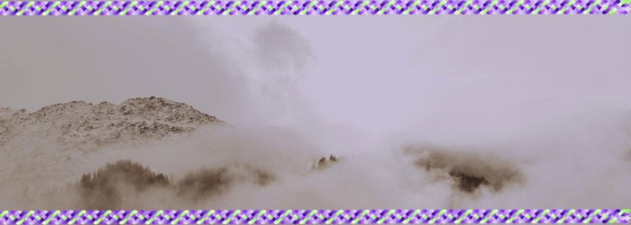 4 Qualities of Businesses That Can Weather Any Storm