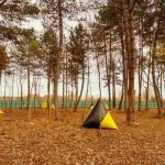 complex-sportiv-gheorgheni-cluj-k complex-sportiv-gheorgheni-cluj-k