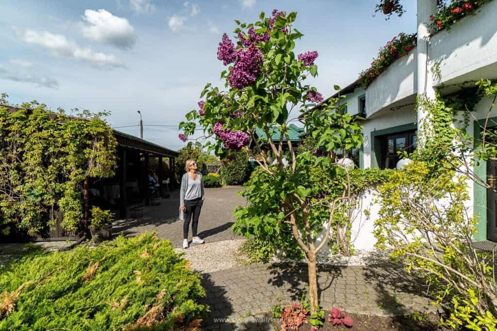 restauracja z zielonym piecem