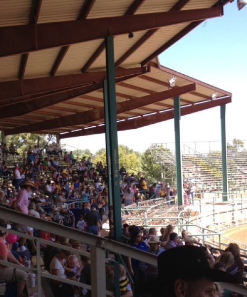 cal farleys boys ranch-another rodeo crowd