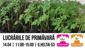 30442527_2216815888545654_4951900831893946368_o