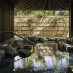 A group of giraffe standing next to a window