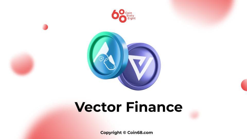 Vector finance Vector finance
