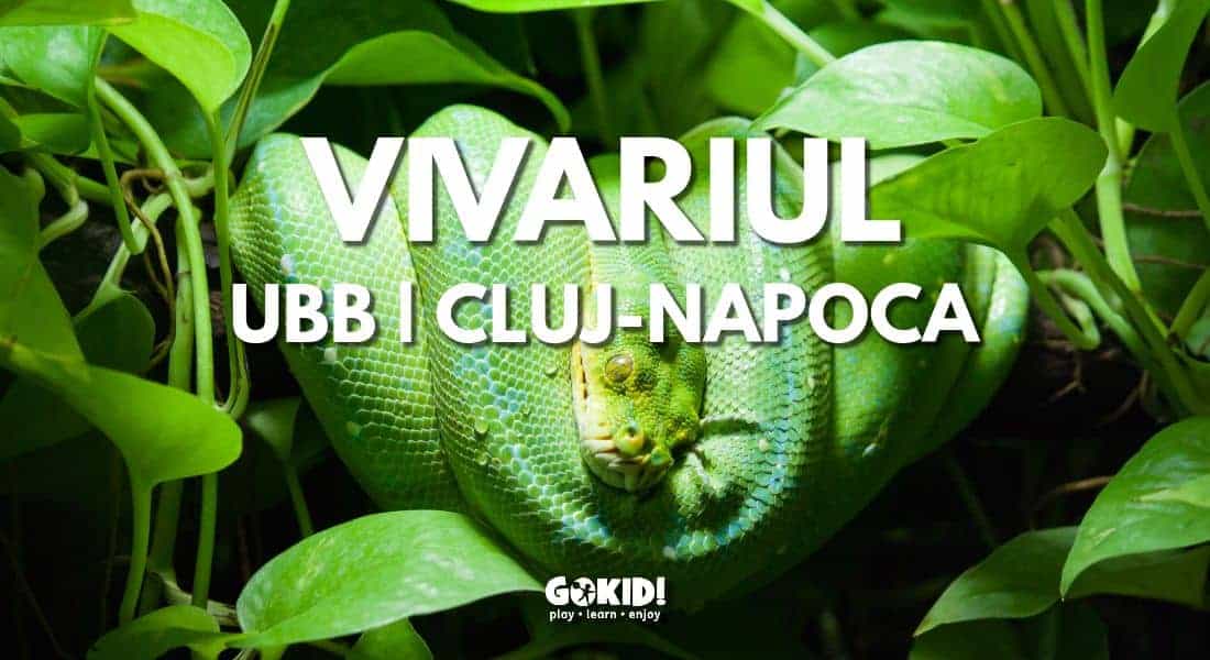 VIVARIUL ubb cluj-napoca MUZEE KID-FRIENDLY