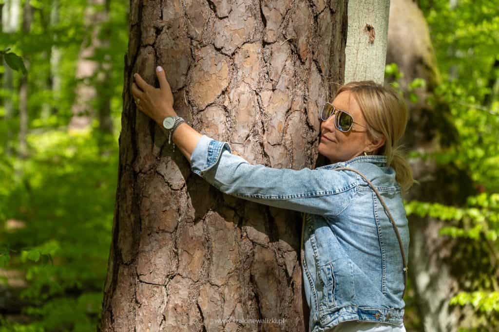 Olsztyn i okolice Olsztyna