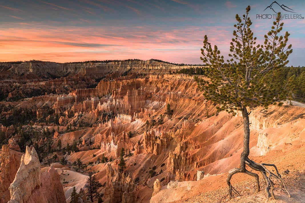 Der Blick über den Bryce Canyon in Utah