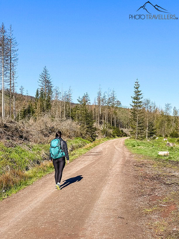 Der Wanderweg führt zunächst breit in Richtung Eckerloch