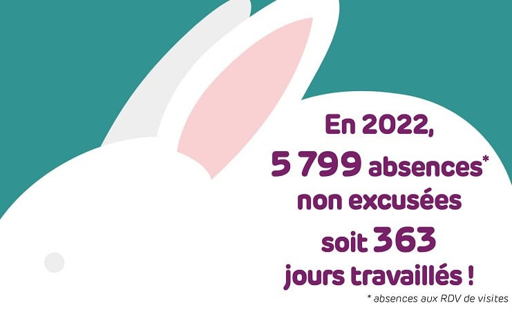 Les lapins en santé au travail c’est la pagaille !