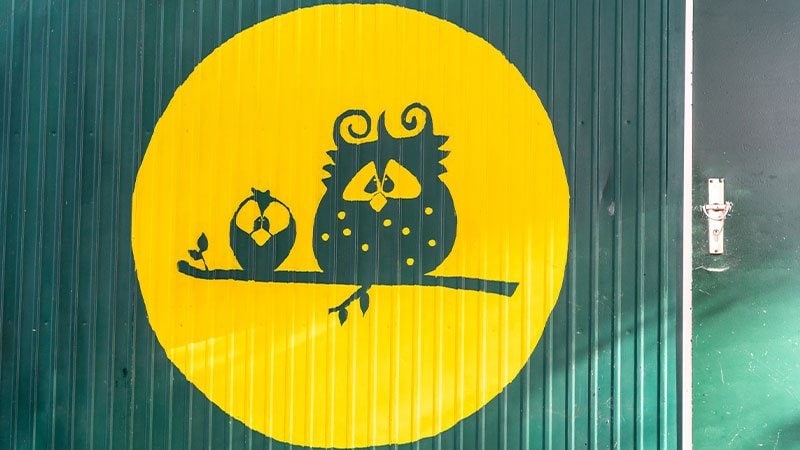 Dieses Bild zeigt zwei gemalte Eulen