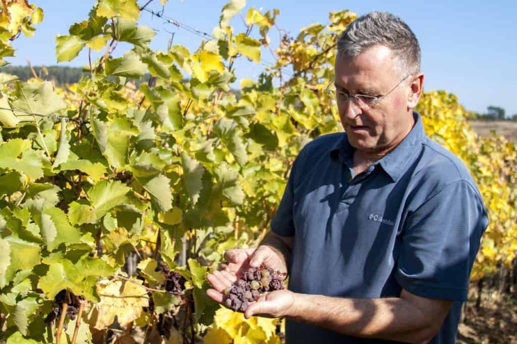 dobry rok szalonych walizek