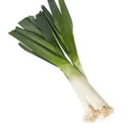 praz leek poireau porro puerro Lauch gokid legume ordonate alfabetic