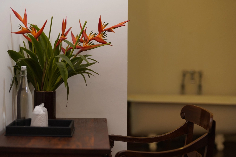 A wooden chair in the Lime Butterfly room at Adigar's Manor, showcasing elegant design and inviting ambiance.