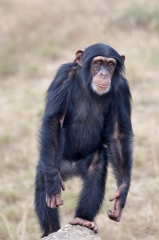 Equatorial Guinea Africa