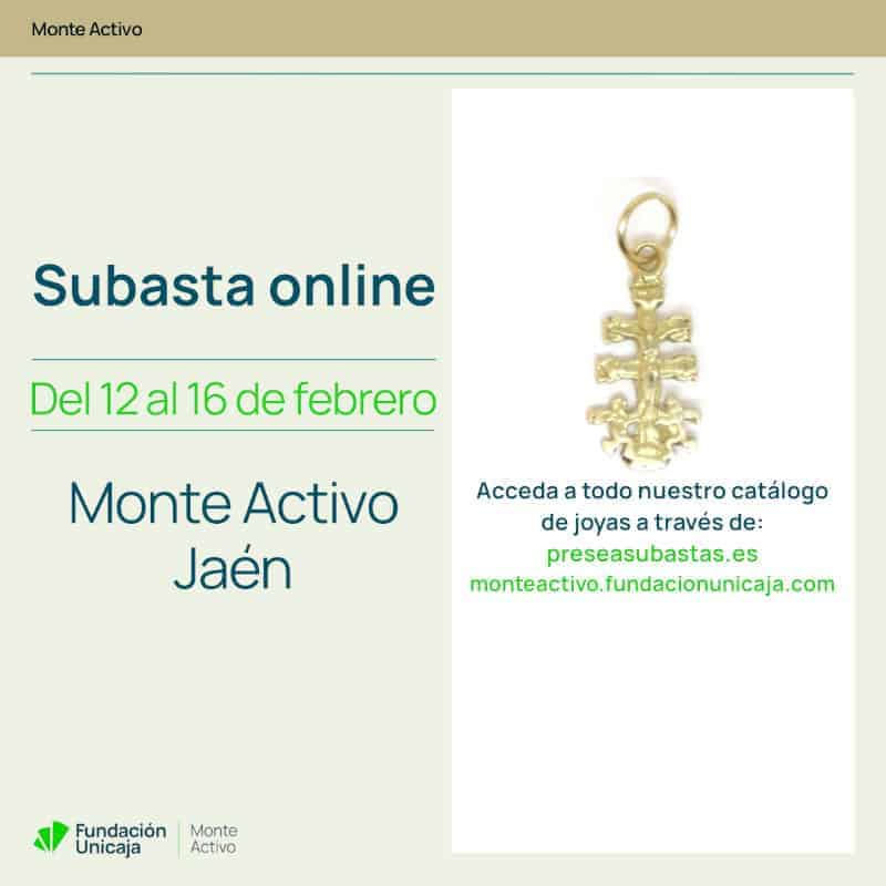 Monte Activo - Subastas febrero 2026 - Jaén