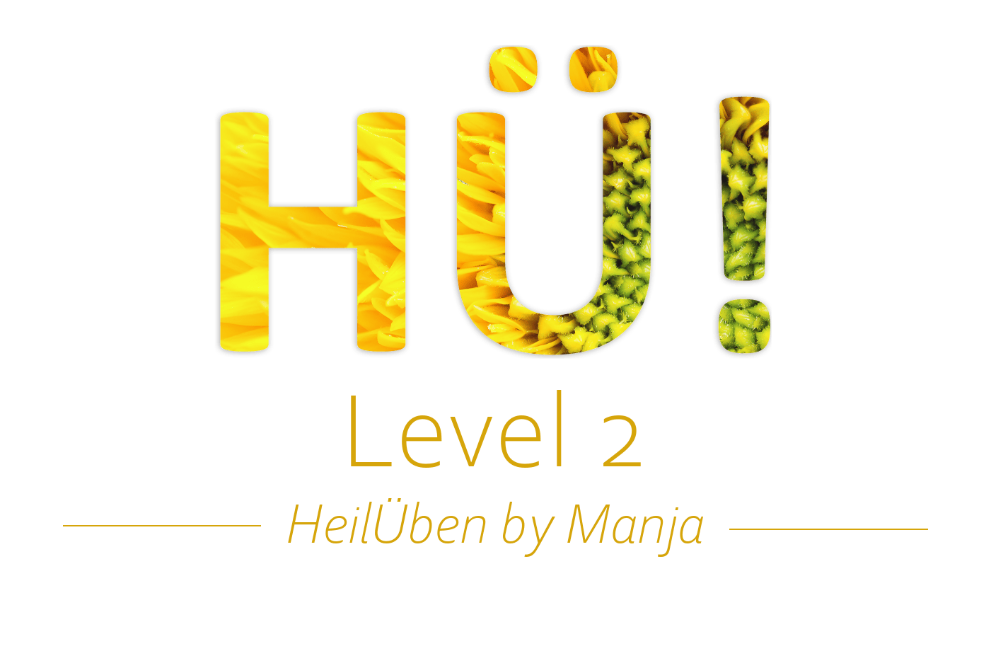 Level 2 de