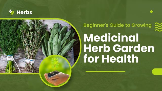 MEDICINAL HERB GARDEN FOR HEALTH: BEGINNER'S GUIDE TO GROWING 4 how to grow herbs successfully