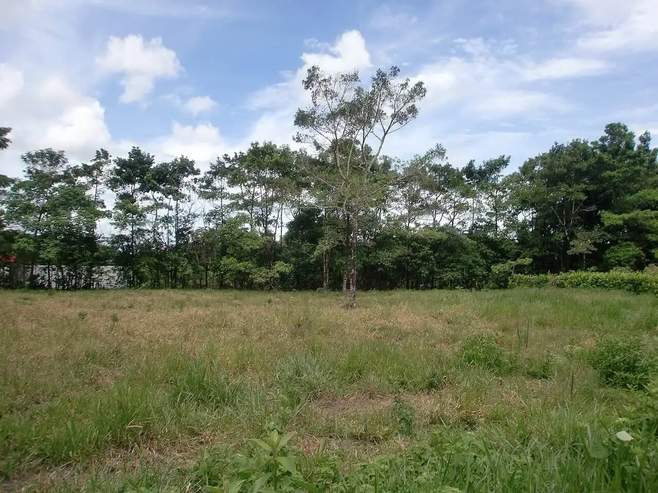 Villavicencio, Meta