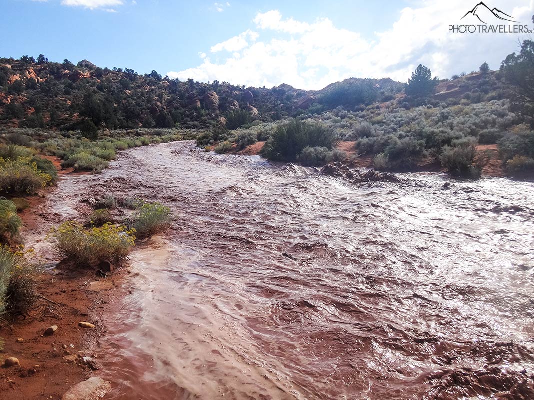 Eine Flashflood überschwemmt den Coyote Wash