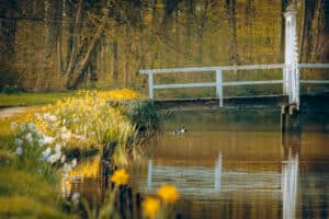 Hochzeitslocation Haus Runde 13 Ein Teich mit Enten, gelben Blumen und einer weißen Brücke – eine ideale Hochzeitslocation in einer Waldgegend.