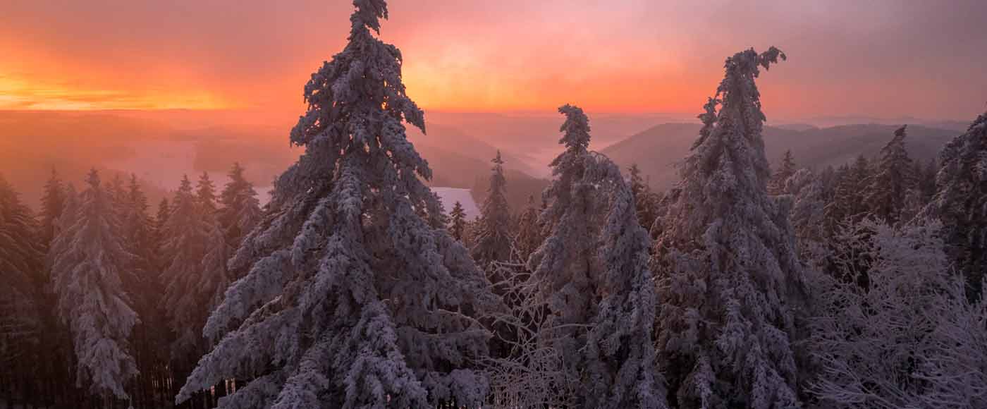 Highlights und Sehenswürdigkeiten im Schwarzwald