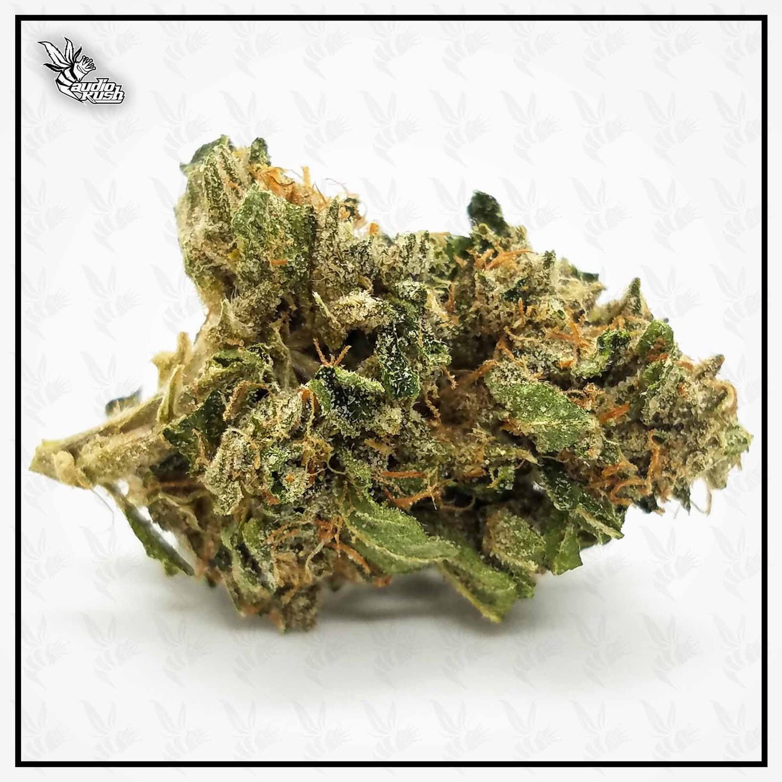 Kosher-Kush-Coffeeshop-Carmona-Nov-14-2020-