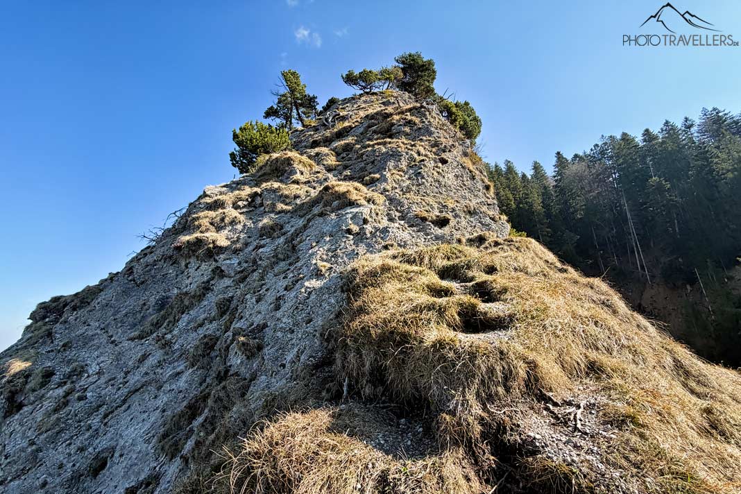 Berggrat oberhalb vom Heldenkreuz und unterhalb vom Osterfeuerkopf