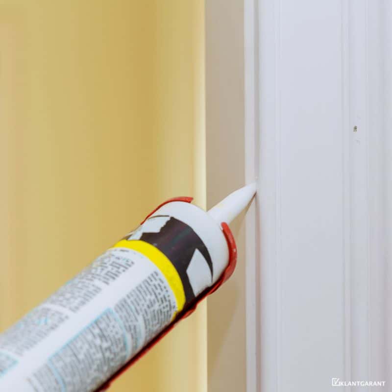 klantgarant kitten kitten