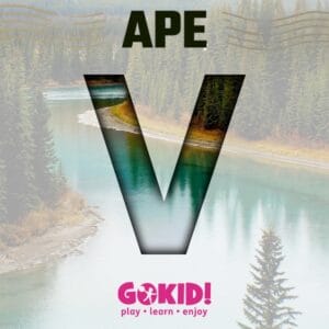 ape cu V lista TOMAPAN ape cu V lista TOMAPAN