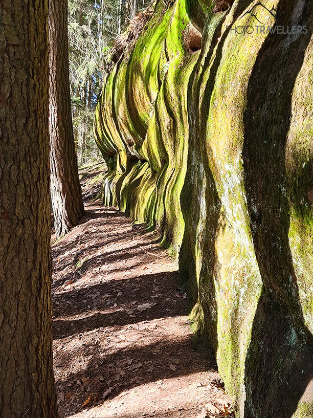 Mächtige Felswände säumen den Waldweg, auf dem du durch die Klamm läufst