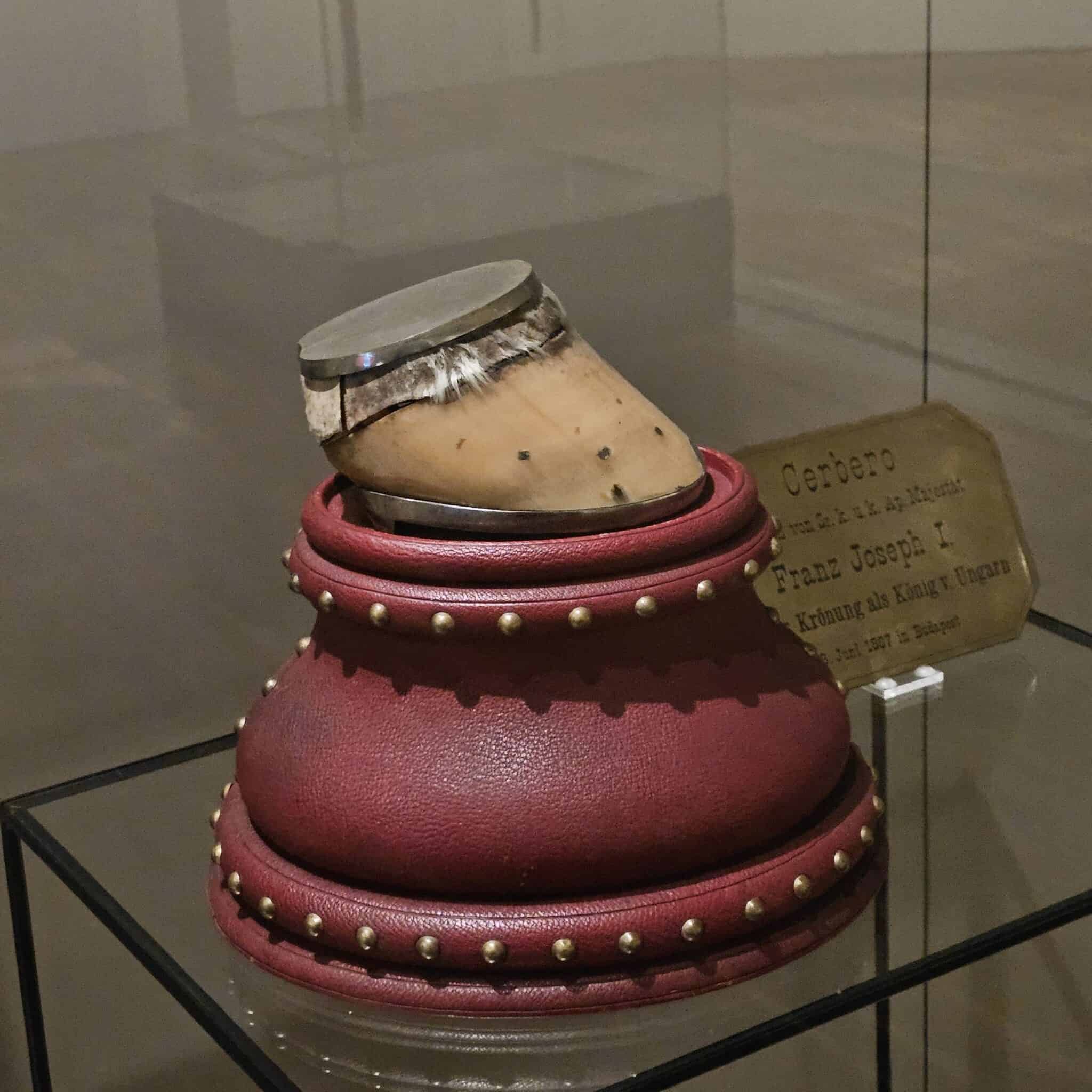 Muzeul trăsurilor imperiale, detaliu